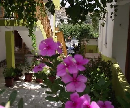 Guest house Zeybek 1 *