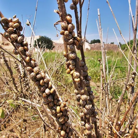 Otel Zeybek 1 Patara