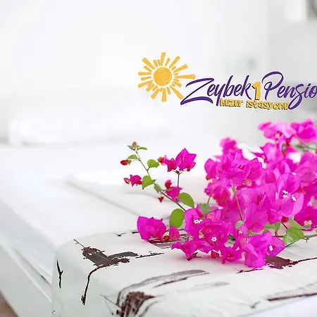 Otel Zeybek 1 Patara